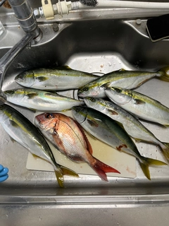 釣果