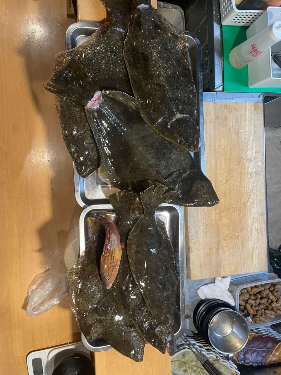 釣キチカン平さんの釣果 2枚目の画像