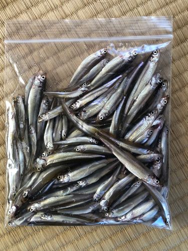 野尻湖（長野）