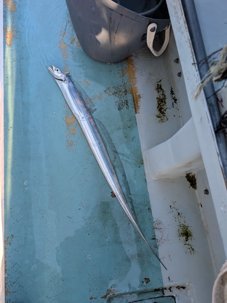 渓ドゥリーマーさんの釣果 1枚目の画像