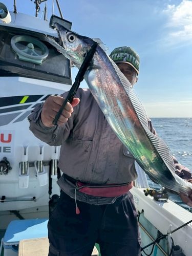 タチウオの釣果