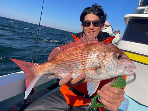 マダイの釣果