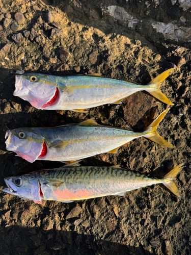 日和山浜海水浴場
