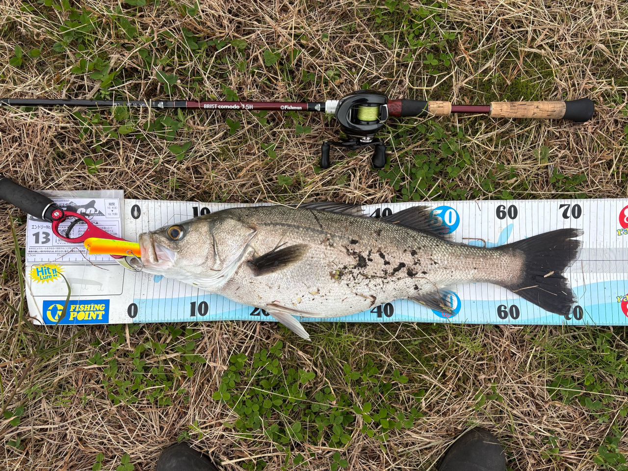 コモド7.5h フィッシュマン BRIST comodo 7.5H (ロッド・釣竿) 価格比較 - 価格.com