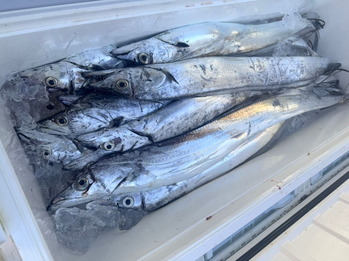 fuku_wildworksさんの釣果 1枚目の画像