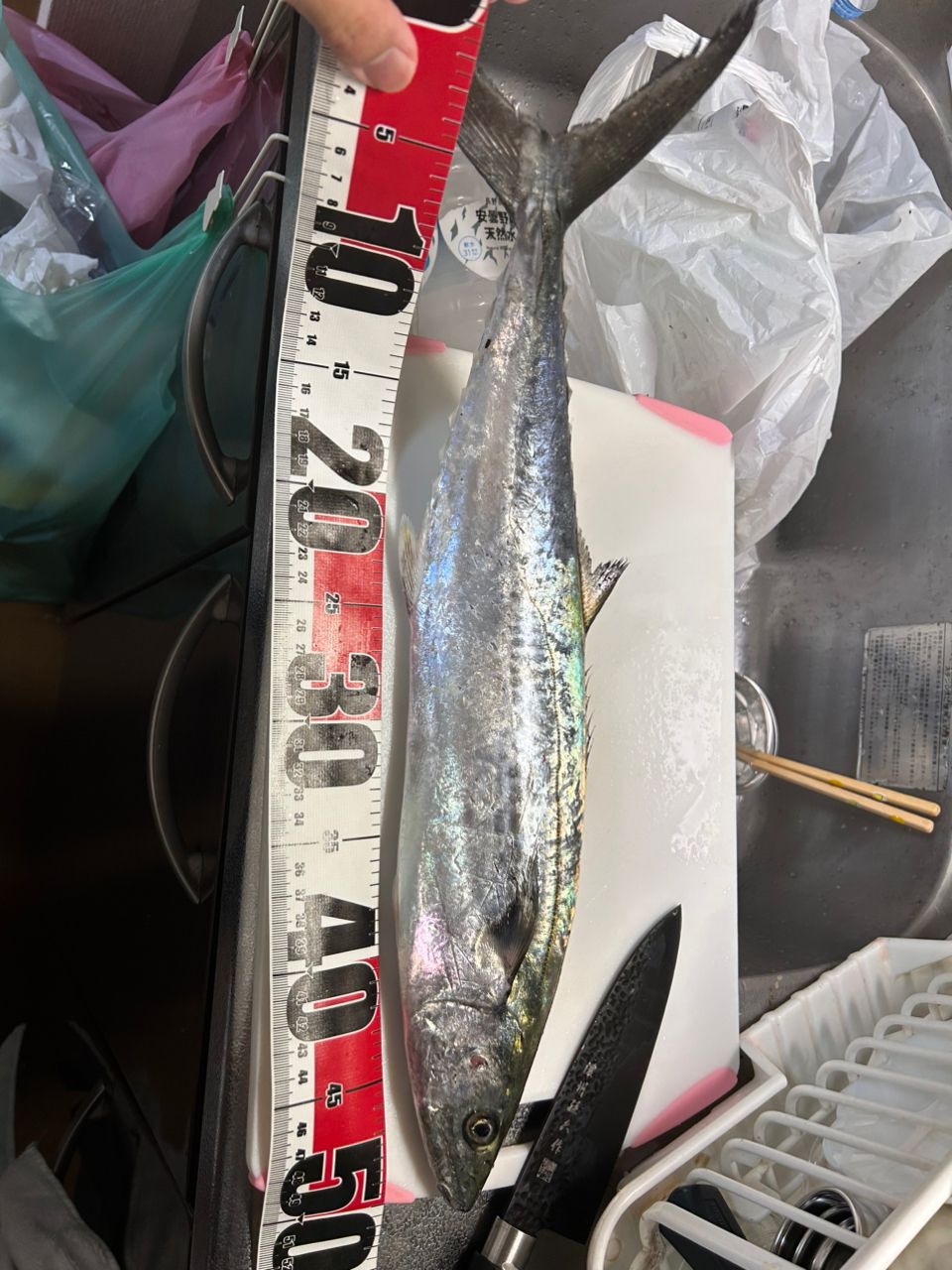 ぴぴっぴぴさんの釣果 2枚目の画像