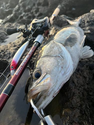 福浦港（羽咋）