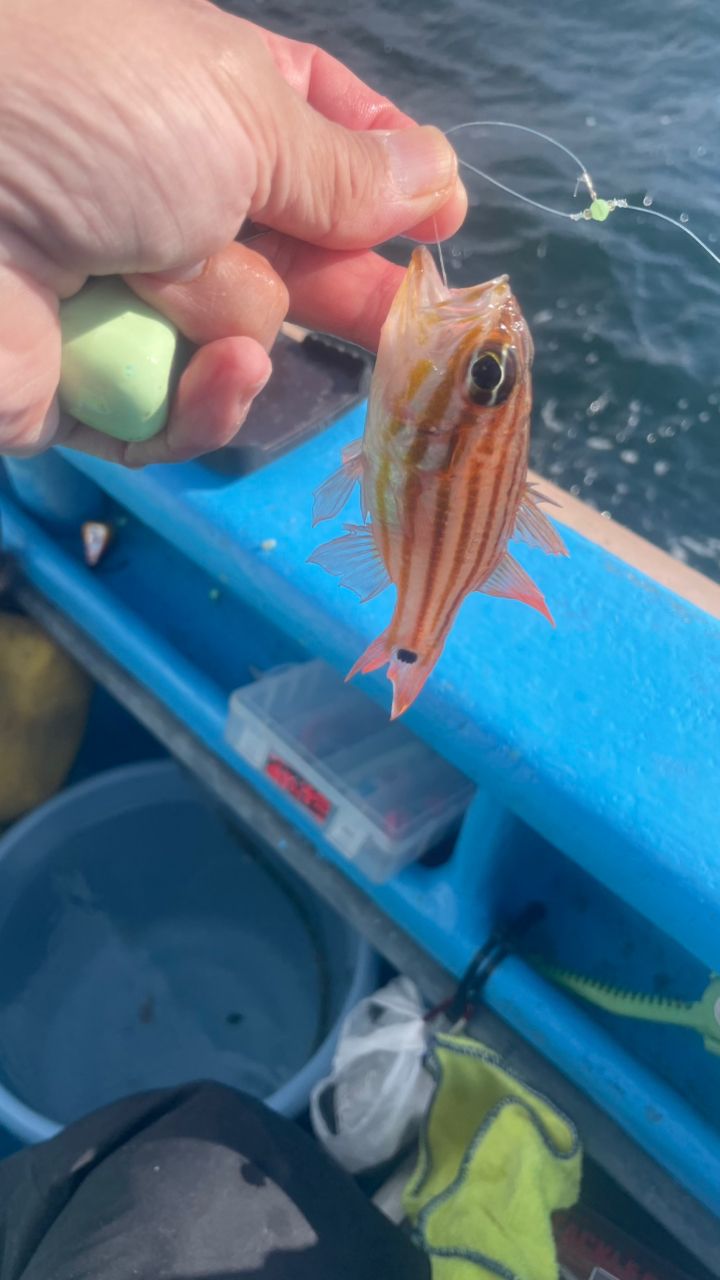 たきれん＠ＴＴ６さんの釣果 2枚目の画像