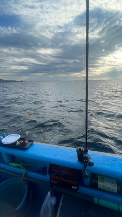 キタマクラの釣果