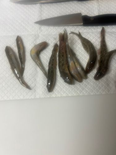 常滑りんくう釣り護岸