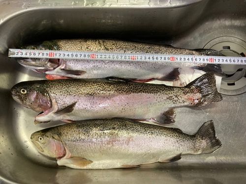 フォレストパークひらかわ