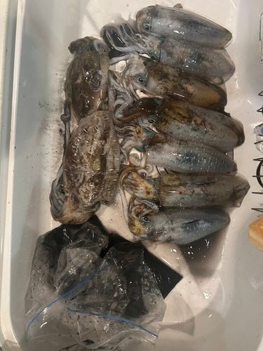 アジュール舞子