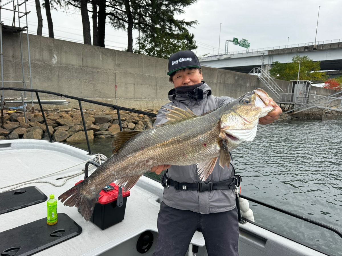 名古屋港　ルシアノ船長さんの釣果 2枚目の画像