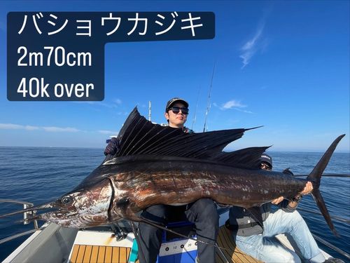 バショウカジキの釣果