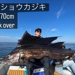 バショウカジキ