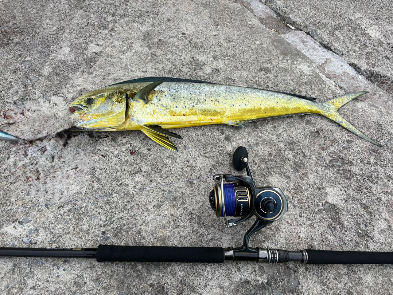 ドラッガー ブレイクスルー 93xh 4550133255281.jpg