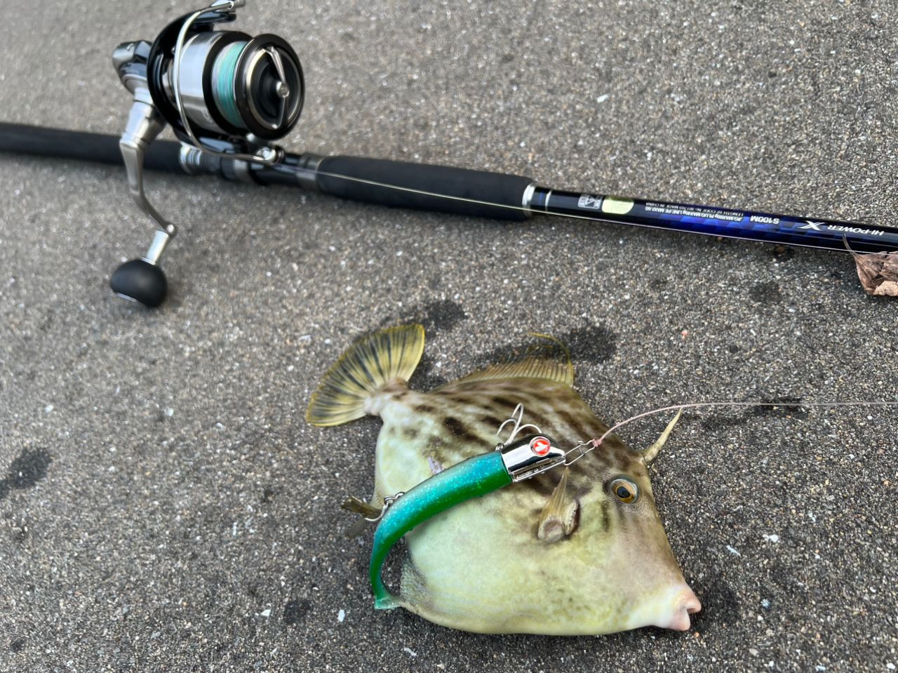 SHIMANO 21コルトスナイパーBB S100Mの最安値・インプレ・釣果 | 本音