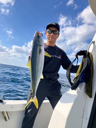 ヒラマサの釣果