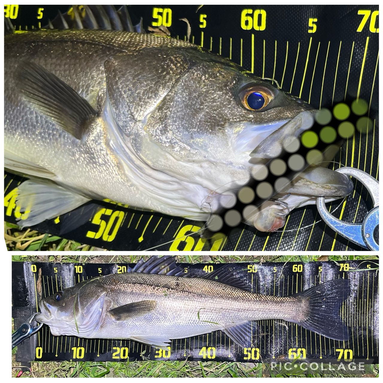 APIA フージン' Z LAST RESORT 90Hの最安値・インプレ・釣果