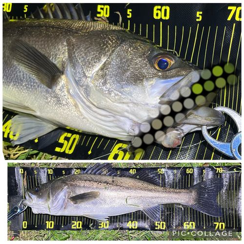 那珂川（茨城〜栃木）