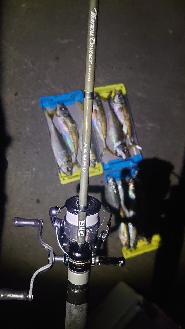 アジンガーSTiさんの釣果 2枚目の画像