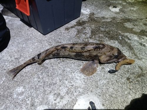 キラキラ公園（苫小牧西港）