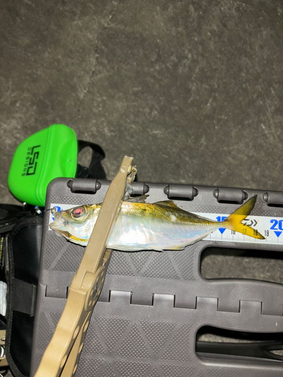 Gamakatsu ラグゼ 宵姫 華 弍 S62UL-solidの最安値・インプレ・釣果