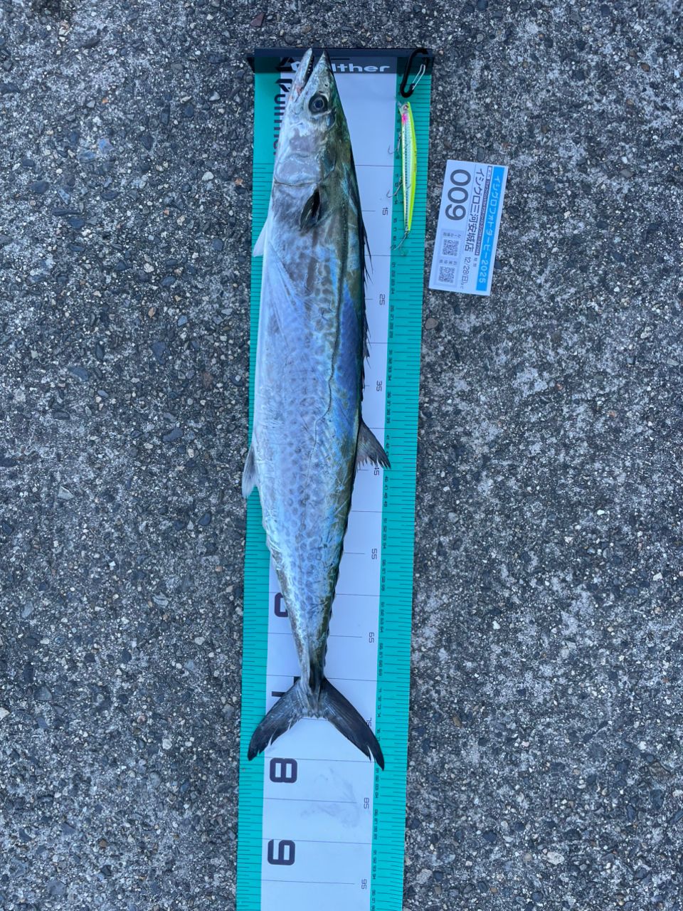 ジギング見習いさんの釣果 3枚目の画像