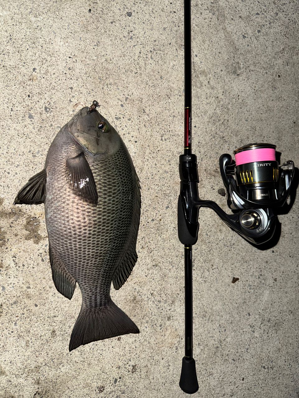 DAIWA 23月下美人 AIR 68L-T・Wの最安値・インプレ・釣果 | 本音の