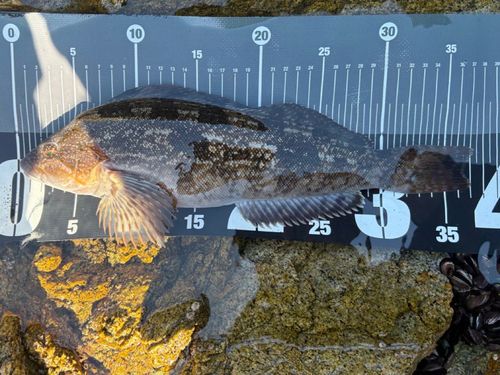 船越湾（岩手）