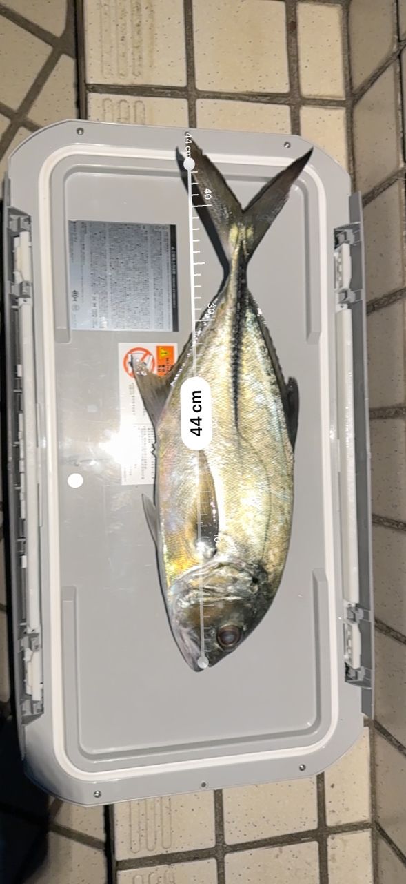 美品 22ネッサXR S110MMH シマノ 22 ネッサ XR S110M/MH (2022年追加モデル) キャスティング