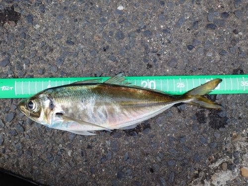 小名浜港市場前