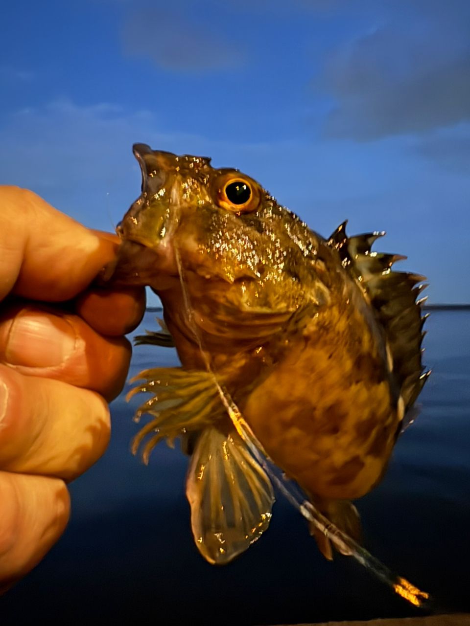 SHIMANO 21ソアレXR S54SUL-Sの最安値・インプレ・釣果 | 本音の口コミ