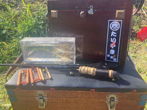 クチボソの釣果