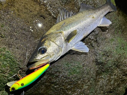 ディズニーリゾート付近