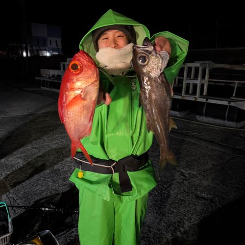 キンメダイの釣果