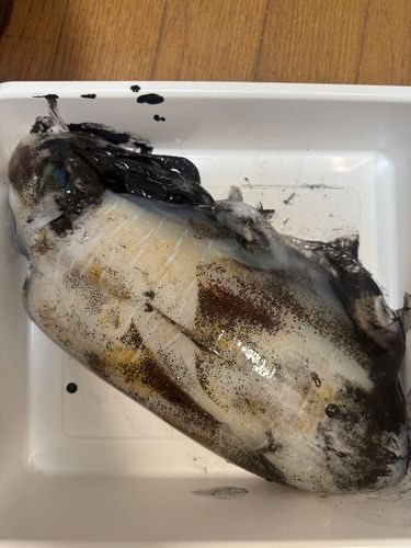 ドリームレイク