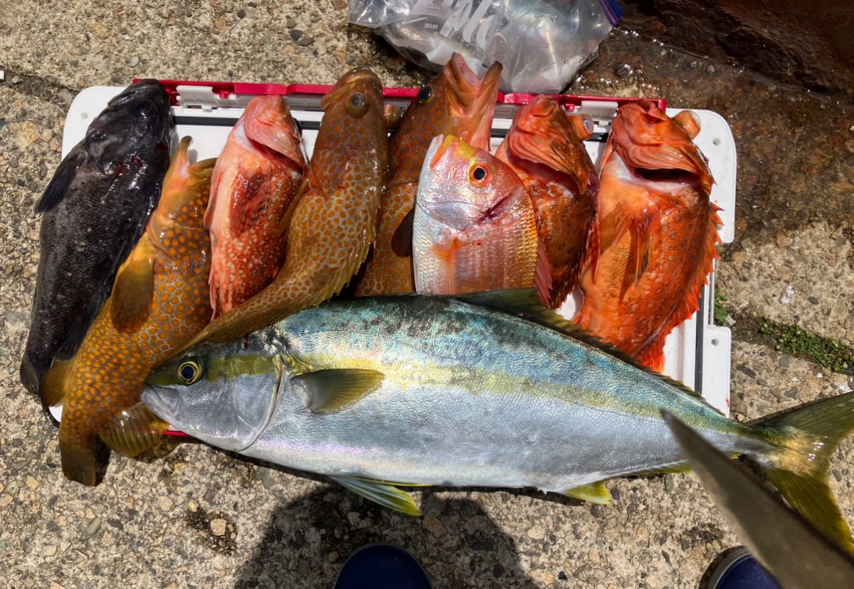 kunisanさんの釣果 1枚目の画像