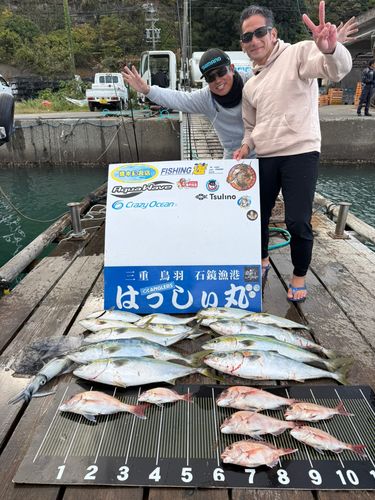ワラサの釣果