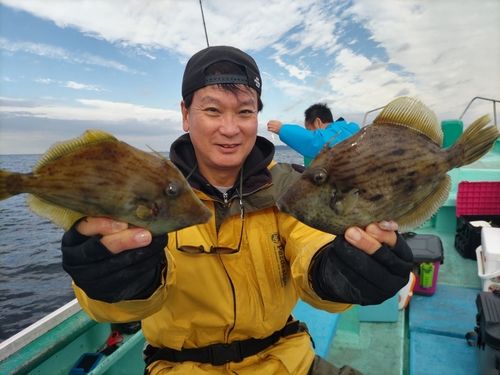 カワハギの釣果