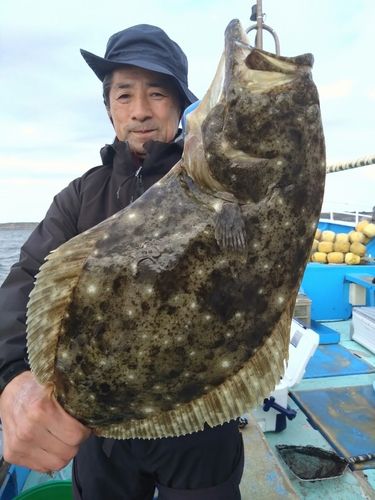 ヒラメの釣果