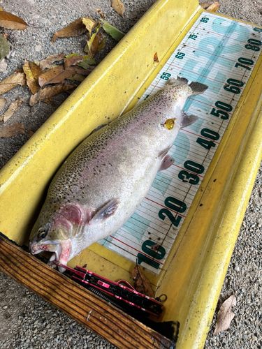 五頭フィッシングパーク