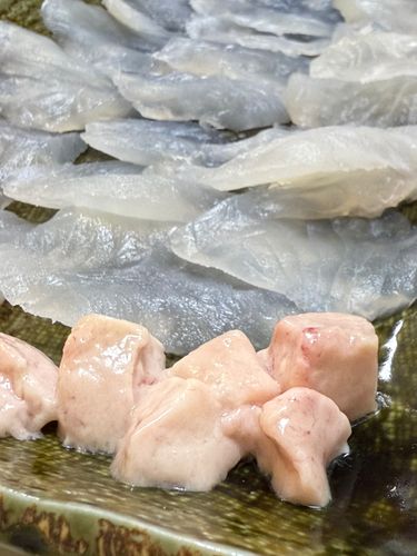 カワハギの釣果