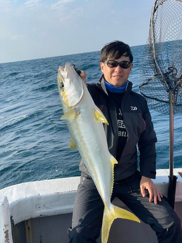 ヒラマサの釣果