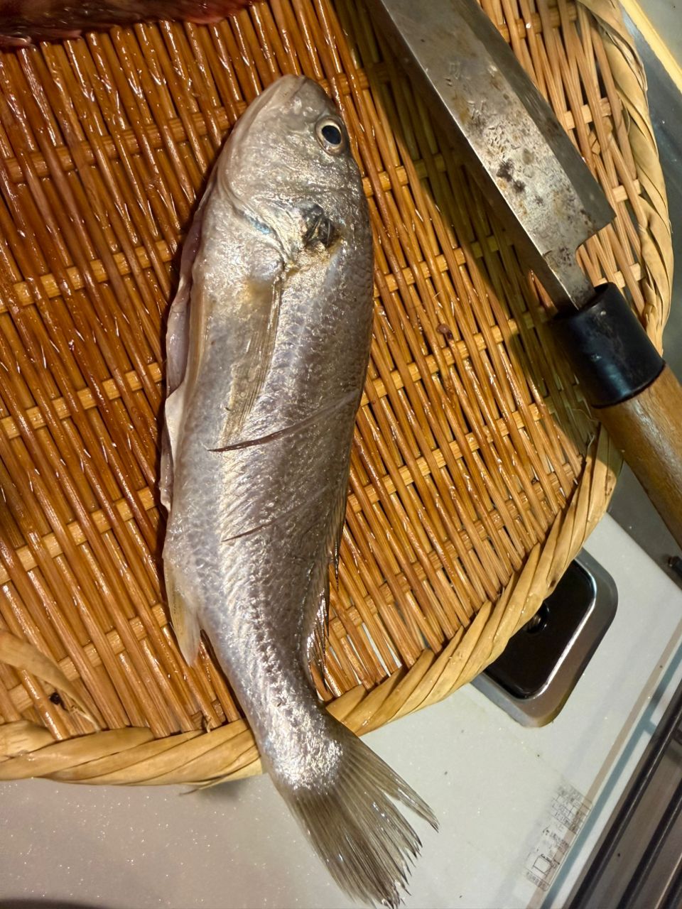 ブーノ釣り初心者さんの釣果 1枚目の画像