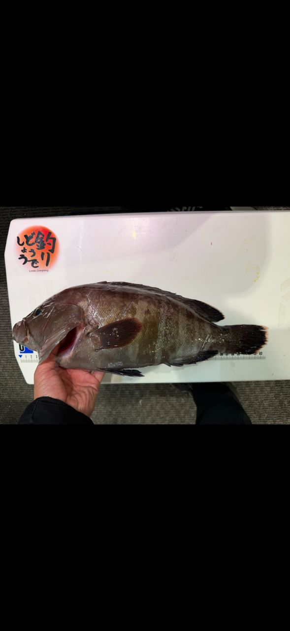 汗かくおじさんさんの釣果 2枚目の画像