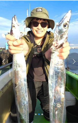 タチウオの釣果