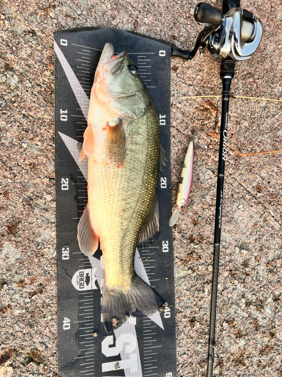 EverGreen オライオン OCSC-67ML+の最安値・インプレ・釣果 | 本音の