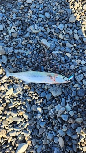 大浜海岸（静岡）