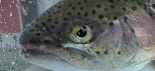 リヴァスポット早戸